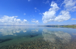 海水 风景