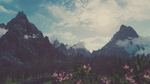 风景