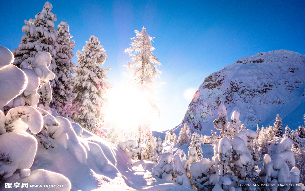 雪景 风景