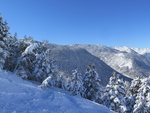 雪景