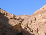 风景