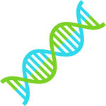 染色体 基因 DNA