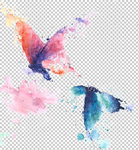 蝴蝶