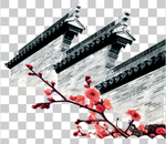 透明底梅花