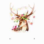 梅花鹿