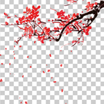 透明底梅花