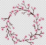 透明底梅花