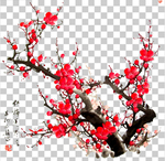 透明底梅花