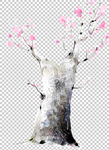 梅花树