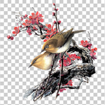 花鸟