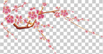 透明底梅花