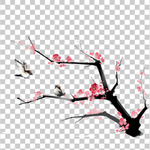 透明底梅花