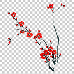 透明底梅花