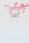 透明底梅花