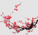 透明底梅花