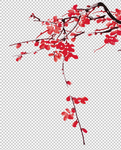 透明底梅花