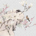 透明底梅花