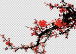 透明底梅花