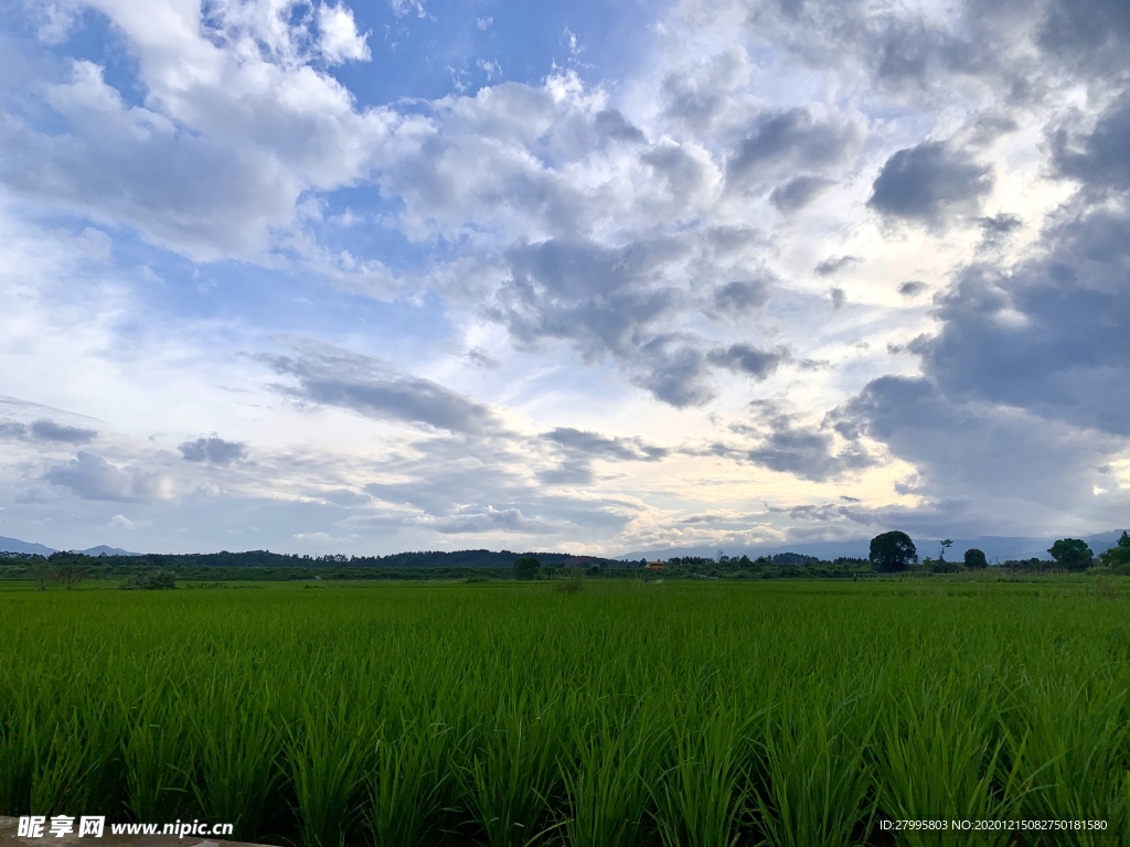 夏天天空