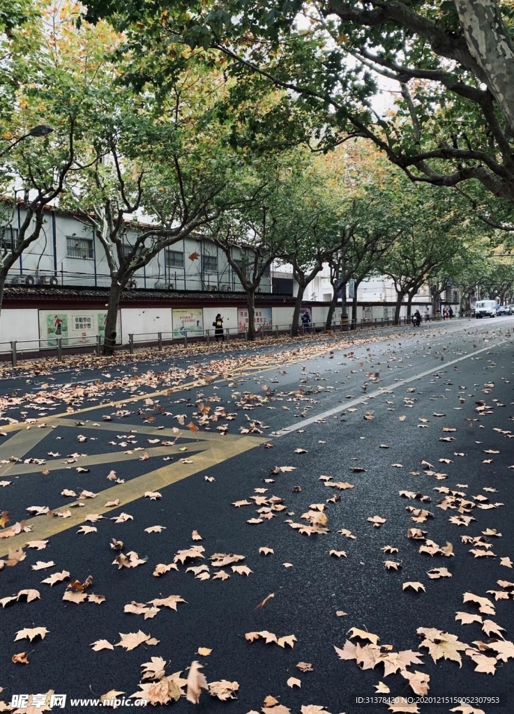 雨后的道路