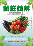 蔬菜海报