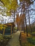 林间小屋