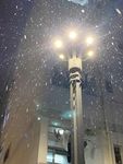 第一场雪