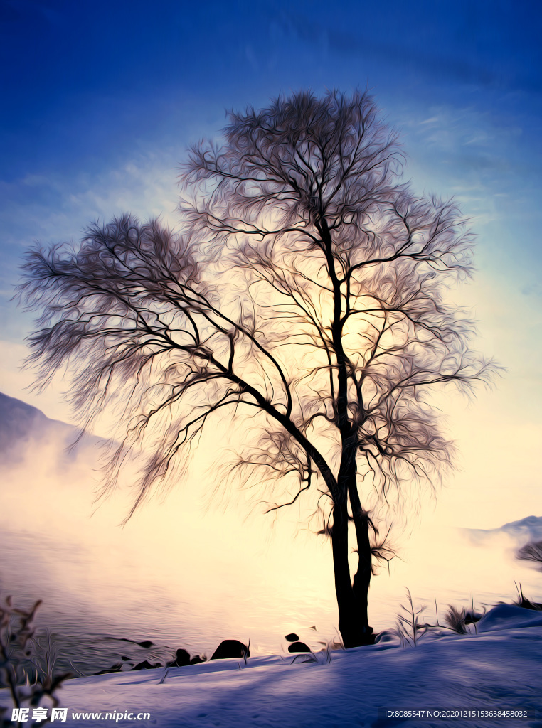 冬树风景油画