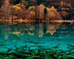 风景油画