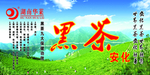 黑茶