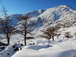 雪地