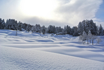 雪地