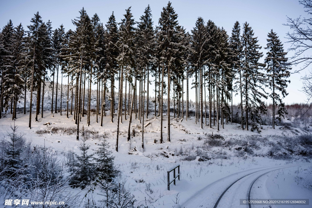 雪景