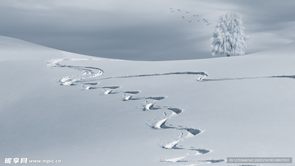 雪地摄影