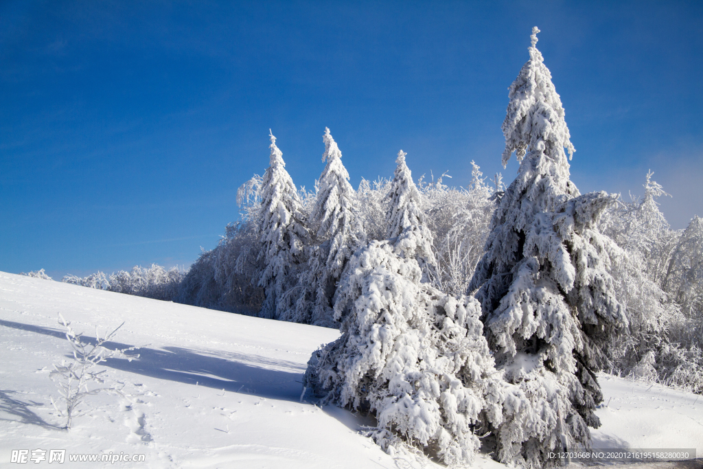 雪景