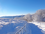 雪景