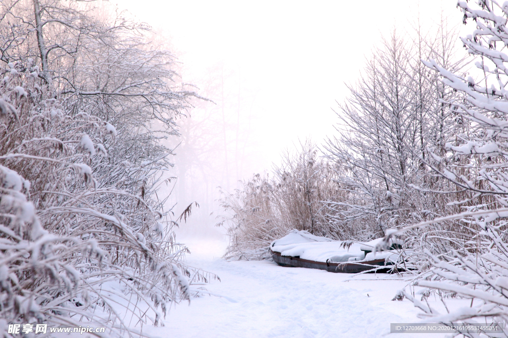雪景