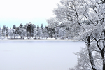 雪地摄影