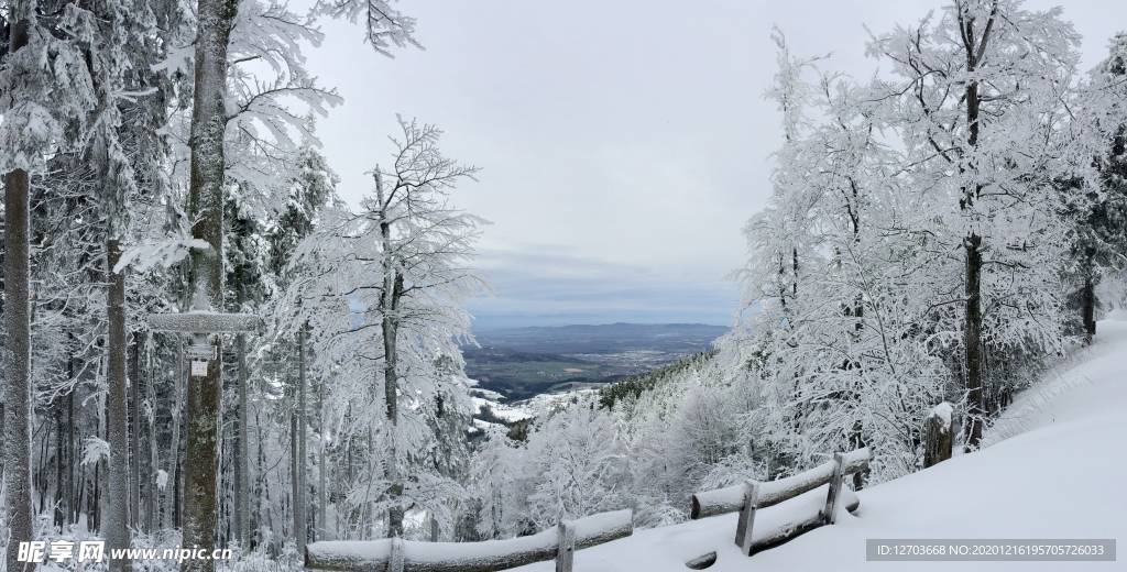 雪地摄影