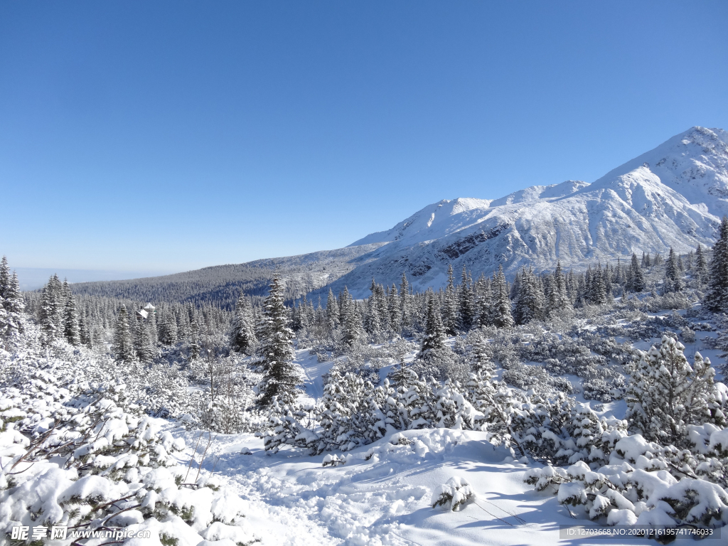 雪地摄影