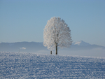 雪地摄影