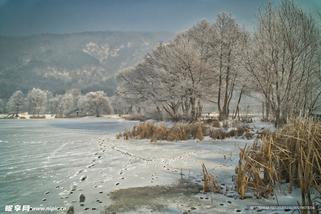 雪地摄影