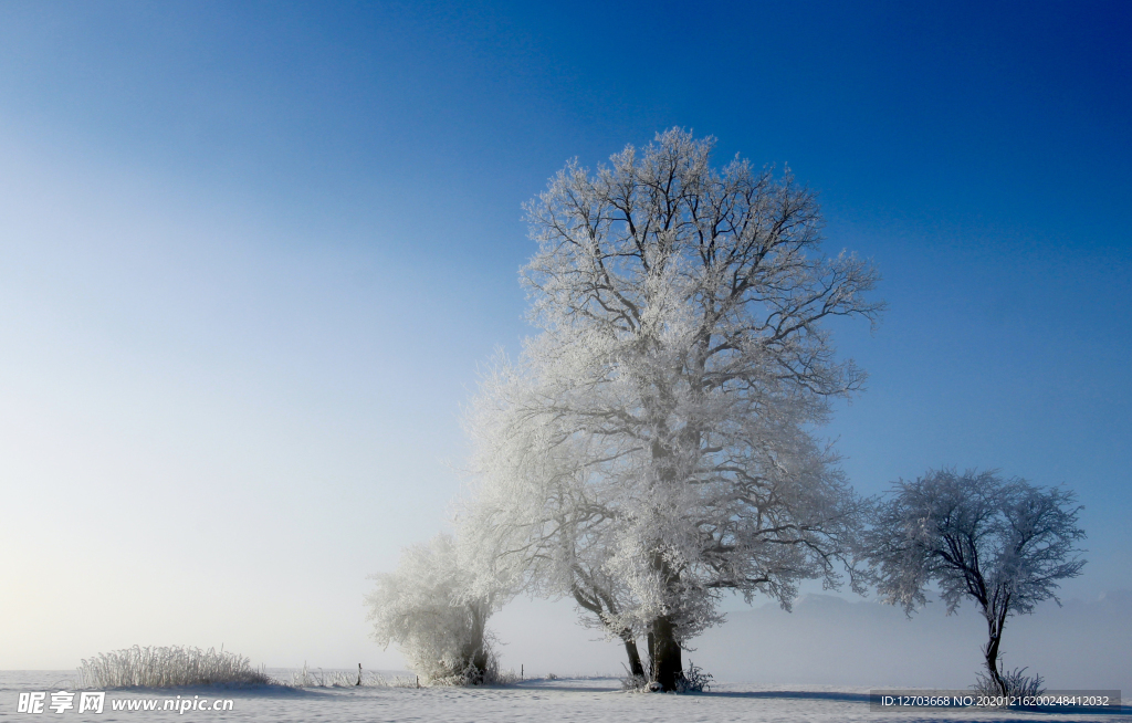 雪景