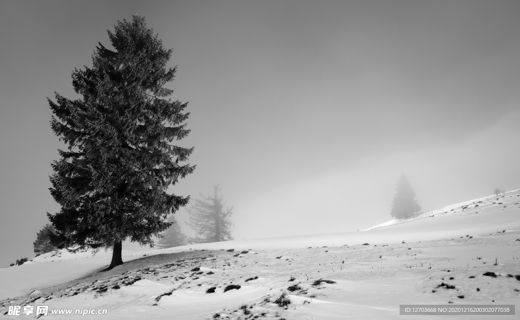 雪景