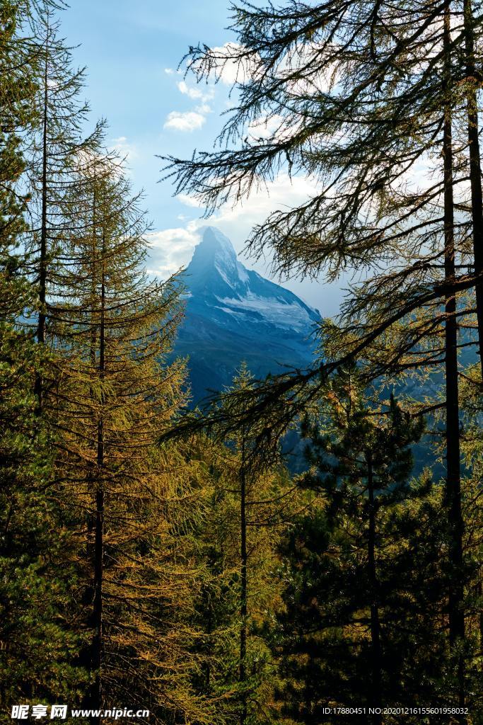 山林