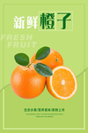 橙子海报