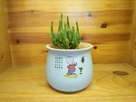 仙人掌