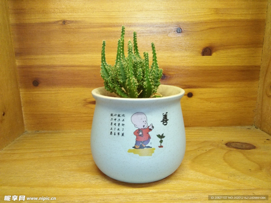 仙人掌