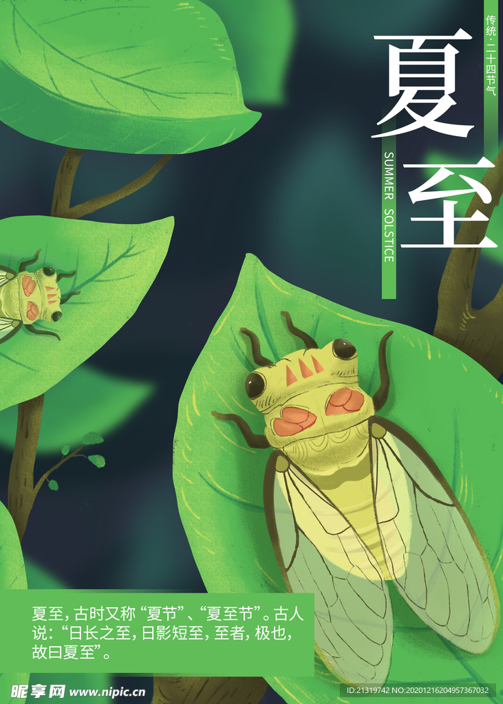 简约夏至海报