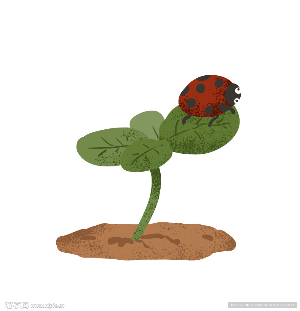 瓢虫插画